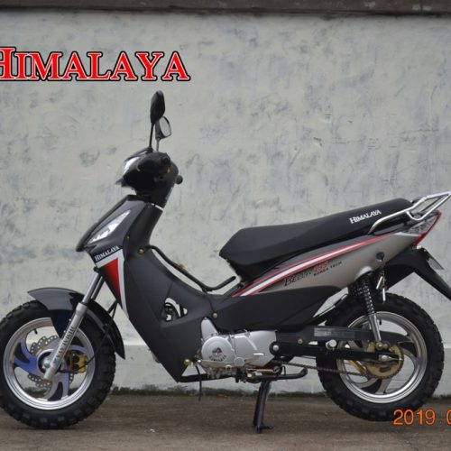 BELLA-135